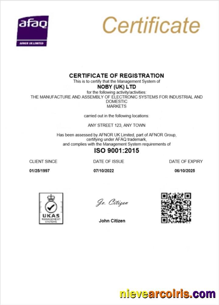 UK Noby Ltd certificate of business registration